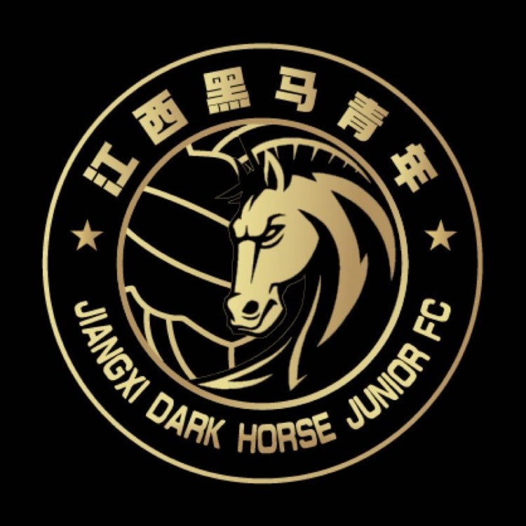  官方：江西黑馬青年完成異地遷移程序，更名為溫州職業(yè)足球俱樂部